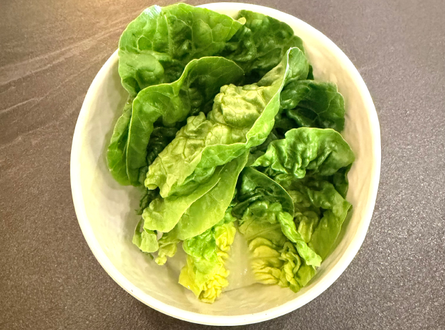 Lechuga